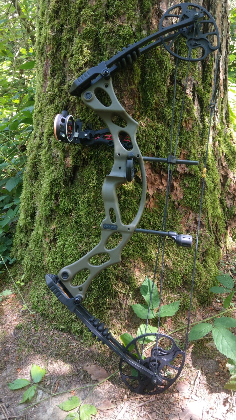 Hoyt Compoundbogen